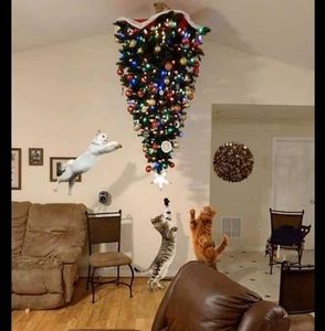 Meet your Posher, Dominguez